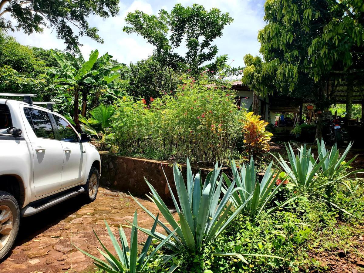 Villa The Jungle Mérida Exterior foto