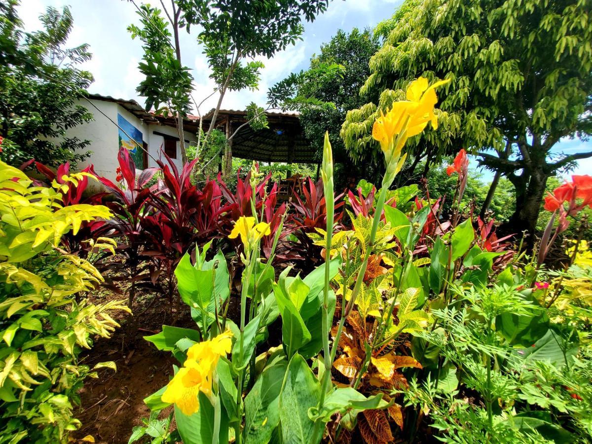 Villa The Jungle Mérida Exterior foto