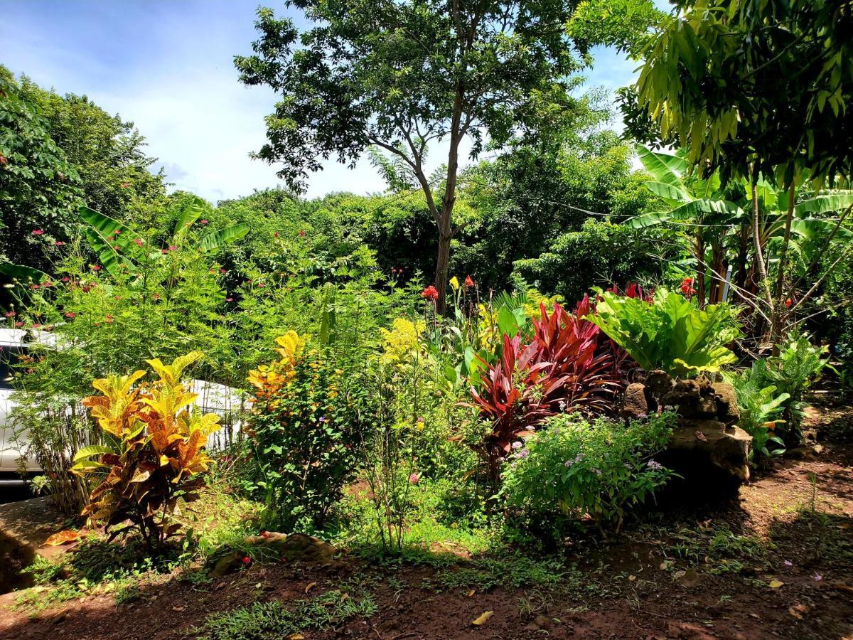 Villa The Jungle Mérida Exterior foto